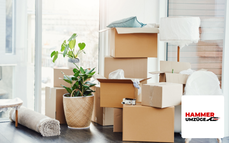 Webdesign Agentur Hannover Referenz & Fallbeispiel Umzugsunternehmen